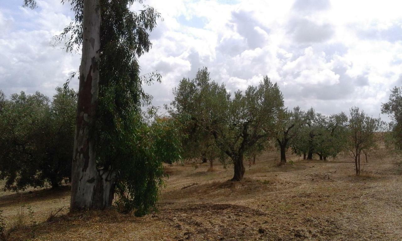 Poderi Di Tragliatella Eksteriør billede